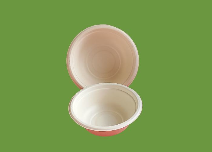Bagasse 17oz, 350ml bowl 1x750