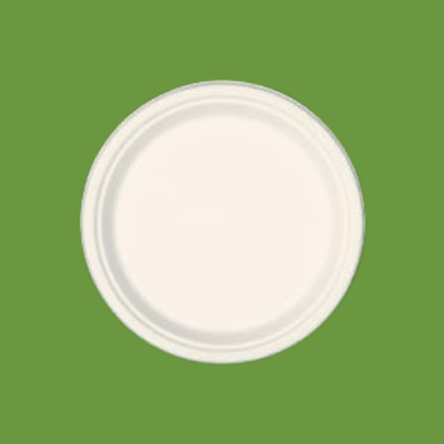 Bagasse 7" Plate 1x500