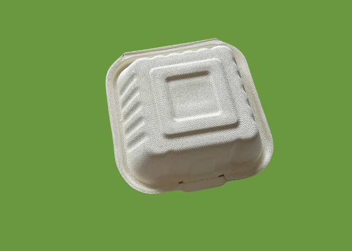 Bagasse HP6 Burger box 1x500