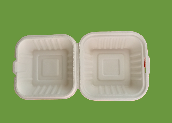 Bagasse HP6 Burger box 1x500