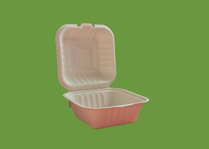 Bagasse HP6 Burger box 1x500