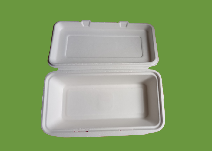 Bagasse TT10 1200ml Clamshell box 1x250