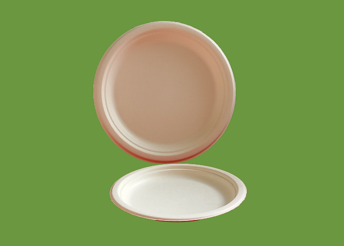 Bagasse 9'' plate 1x500