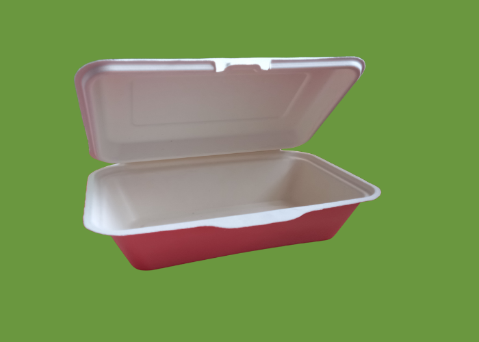 Bagasse HP10 1000ml Clamshell box 1x250