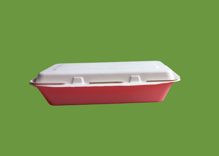 Tt10 Box Bagasse TT10 1200ml Clamshell box 1x250 – G Catering Ltd